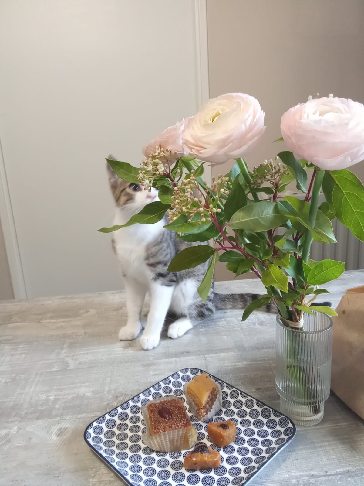 Mouss, un jeune chat, derrière un bouquet de fleurs, illustration d’un article sur le repos.