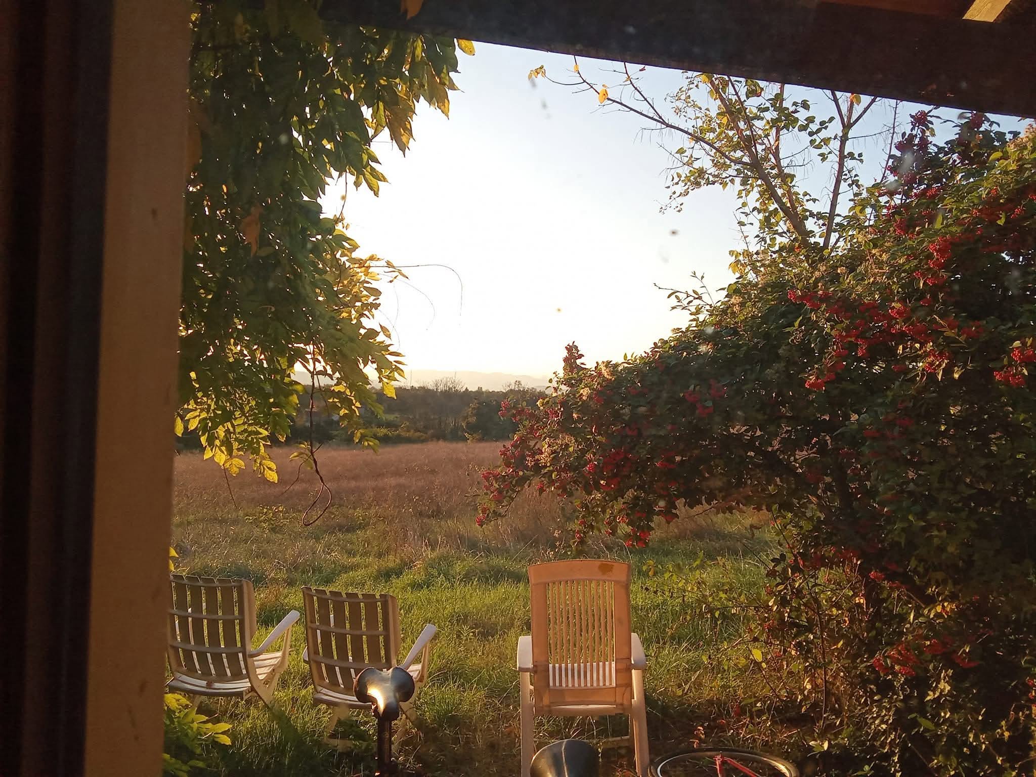 Vue depuis une maison ouverte sur un champ avec trois chaises au soleil.